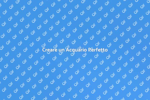 L'Arte di un Acquario Equilibrato