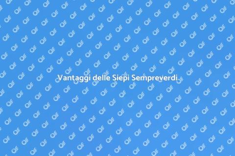 Siepi Sempreverdi per il Giardino