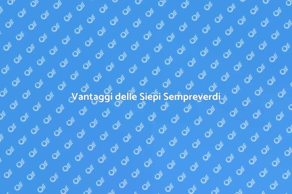 Siepi Sempreverdi: Bellezza e Privacy
