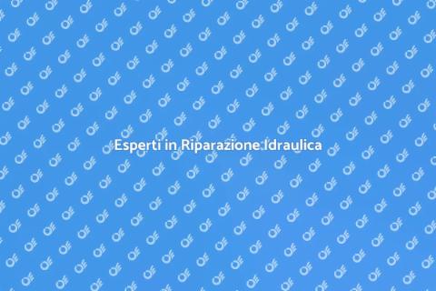 Riparazione Idraulica Professionale