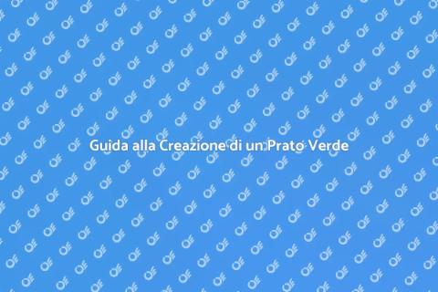 Piantare un Prato Nuovo Facile e Veloce