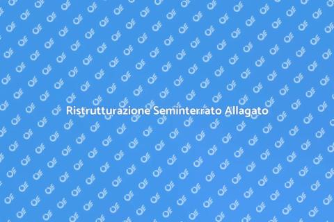 Pulizia e Riparazione Seminterrato