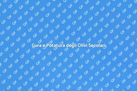 Potatura Olivi Secolari: Arte e Cura