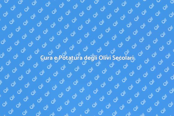 Potatura Olivi: Tradizione e Competenza