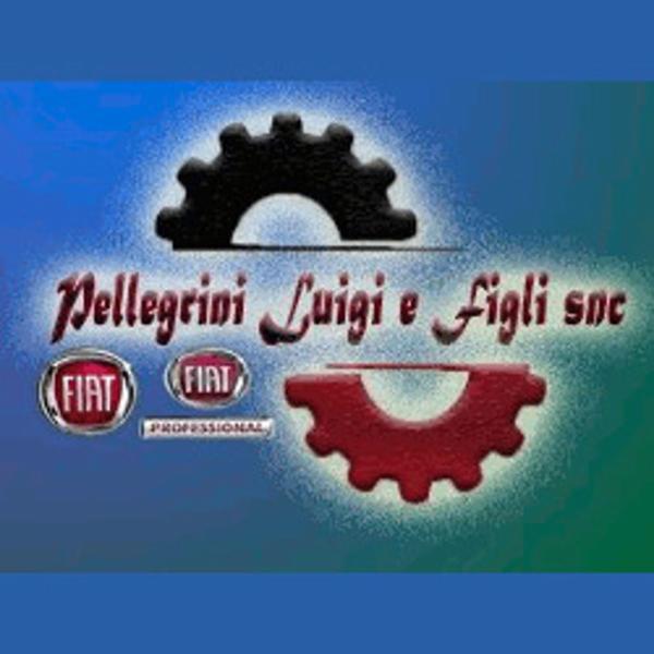 Officina Meccanica Pellegrini Luigi e Figli  - Foto 1