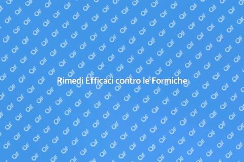 Sbarazzarsi delle Formiche Efficace