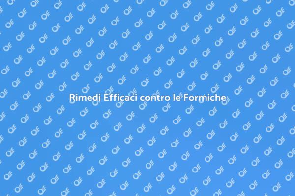 Come Eliminare le Formiche in Casa