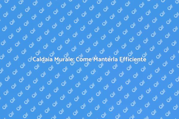 Manutenzione Caldaia: Risparmia Energia