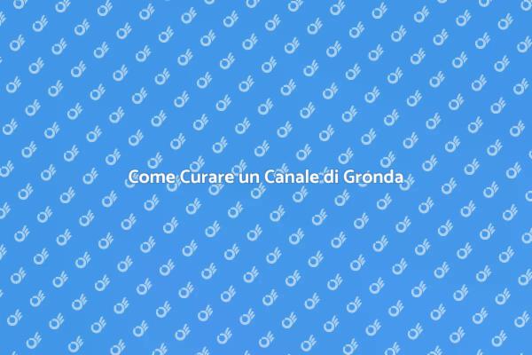 Manutenzione Efficiente del Canale di Gronda