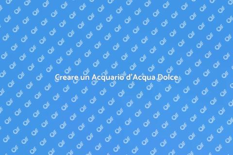 Consulenza per Acquario d'Acqua Dolce