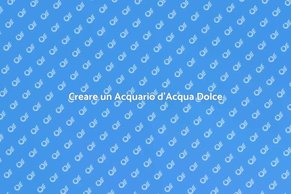 Acquario d'Acqua Dolce: Consulenza Expert