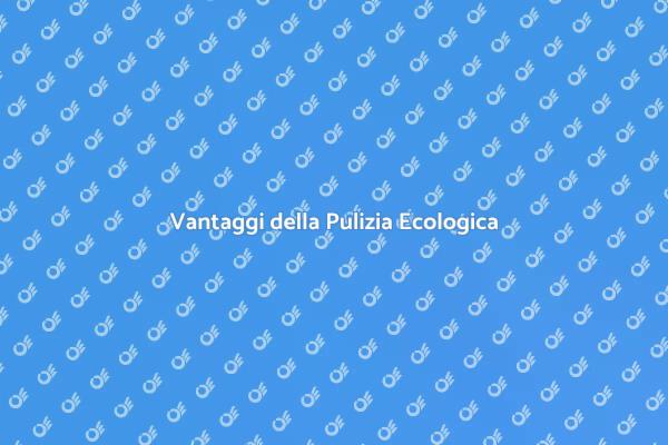 Pulizia Sostenibile dei Tappeti