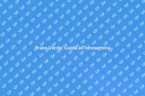 Idrosemina: Prato Verde in Un Click