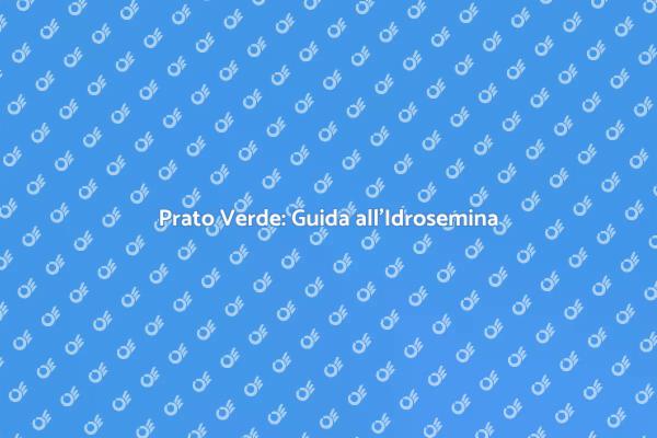 Installazione Idrosemina: Prato Perfetto