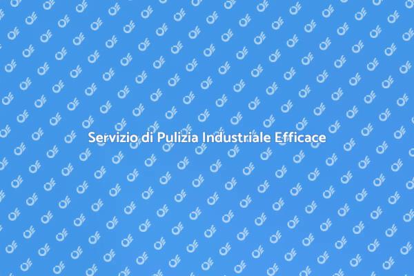Riscopri l'Efficienza con la Pulizia