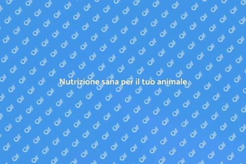 Consulenza nutrizionale per animali
