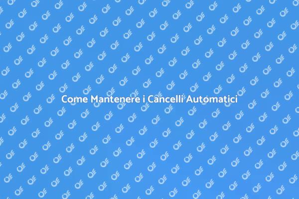 Manutenzione Efficace per Cancelli Automatici