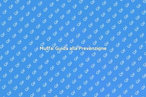 Combattere la Muffa in Casa