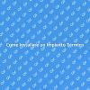 Impianto Termico: Comfort e Efficienza