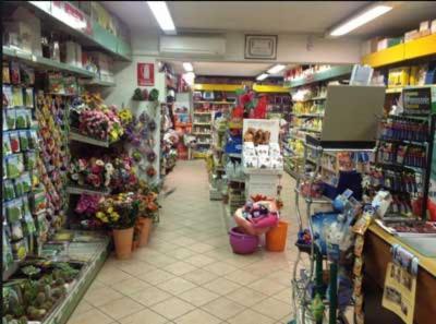 Molino Minella  - Foto 7