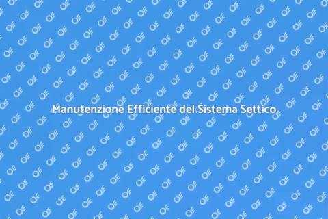 Riparazione e Manutenzione Sistema Settico