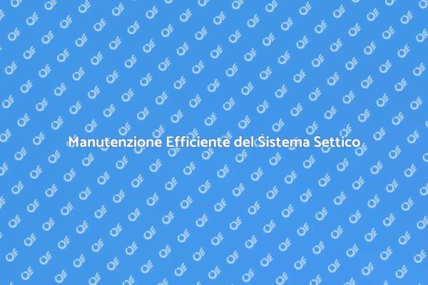 Manutenzione e Pulizia del Sistema Settico