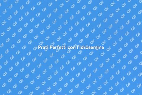 Idrosemina: Prati Rigogliosi in Pochi Passi