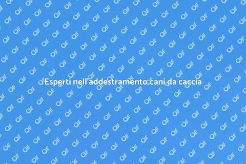 Addestramento cani da caccia esperti