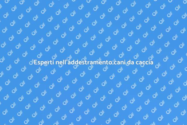 Guida all'addestramento dei cani da caccia