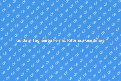 Rimettere in Funzione Tagliaerba Fermo