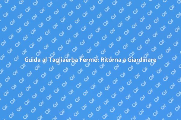 Come Riparare un Tagliaerba Fermo