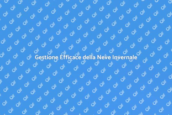 Affronta l'Inverno: Sciogli la Neve