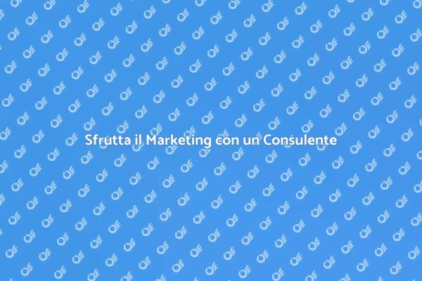 Marketing Efficace con un Consulente