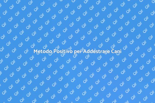 Addestra il tuo cane con metodo positivo