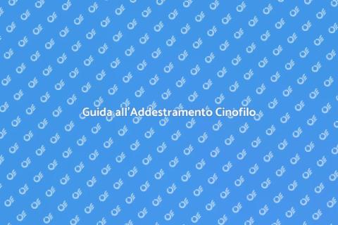 Assumere un Addestratore Cinofilo