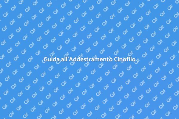 Come Scegliere un Addestratore Cinofilo