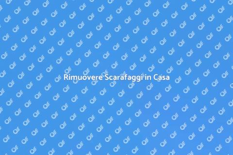 Gestione Infestazione Scarafaggi