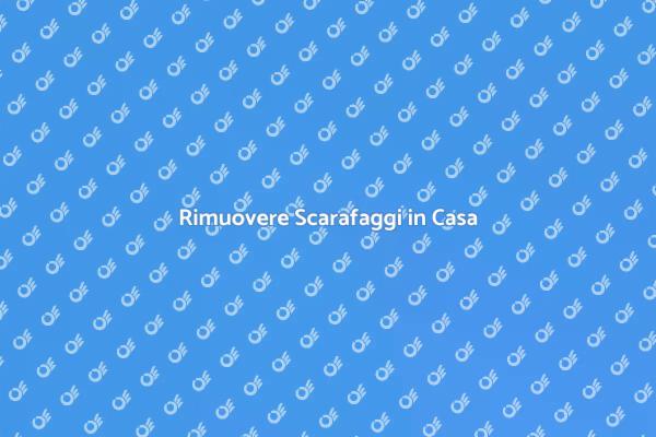 Liberati dai Scarafaggi Oggi Stesso!