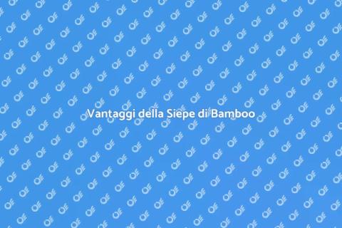 Siepe di Bamboo per il Tuo Giardino