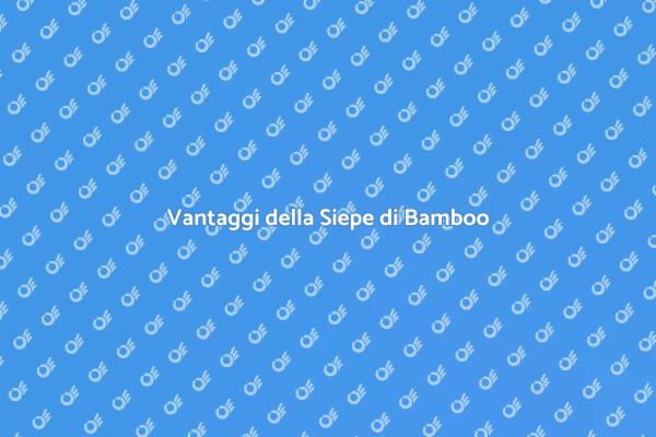Trasforma il Giardino con il Bamboo