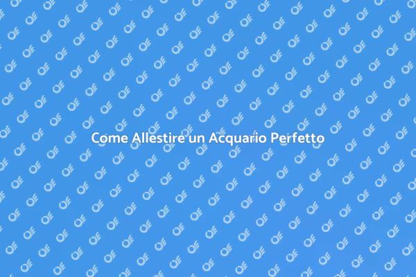 Creare un Acquario Ideale per Te