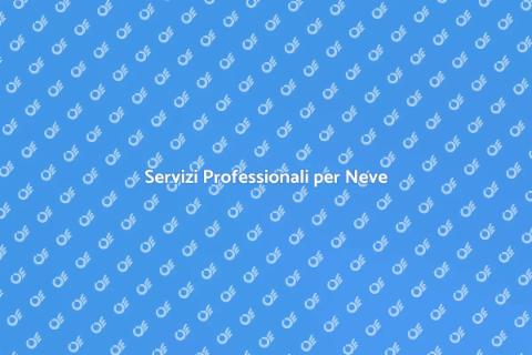 Rimozione Neve: Assistenza Professionale