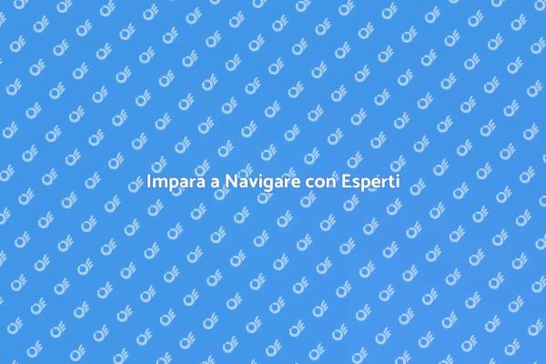 Navigazione: Corso per Principianti e Esperti