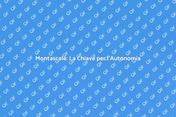 Montascale: Soluzione per Ogni Casa