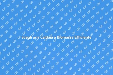 Caldaia a Biomassa: Comfort Efficiente