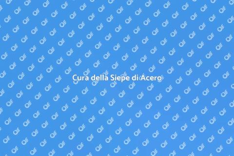 Mantenere una Siepe di Acero