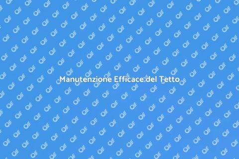 Pulizia a Pressione del Tetto