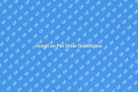 Pet Sitter Esperto per i Tuoi Animali