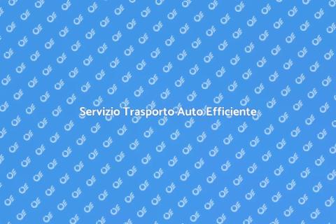 Trasporto Auto: Efficienza Garantita