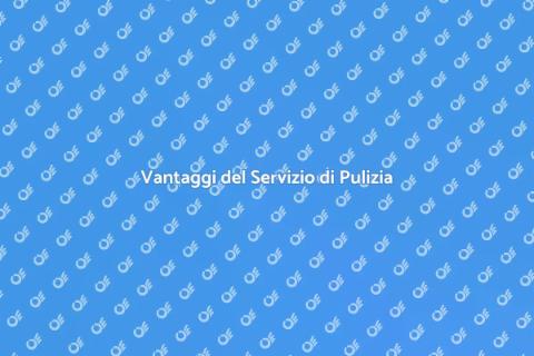 Servizio di Pulizia Professionale
